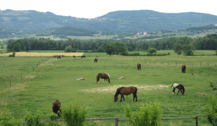 Camping Pri Rebkovih - Ajdovščina