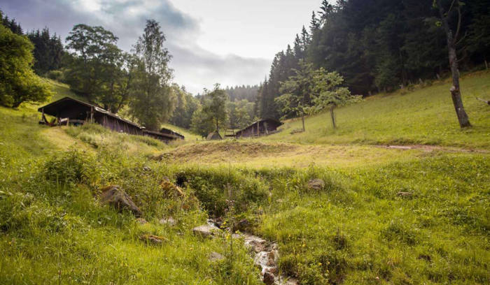 Camping Hilserhof - Triberg im Schwarzwald