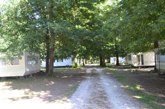 Camping Bois de la Chasse - Sémussac