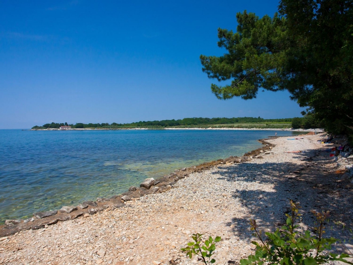 Camping Kastanija - Novigrad