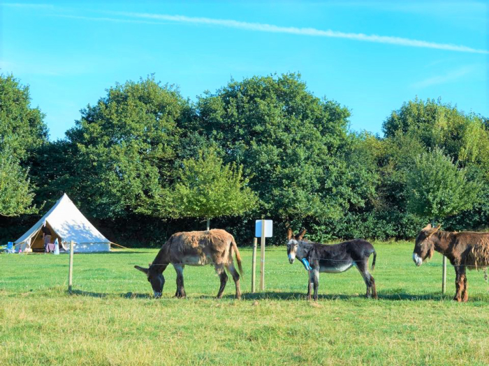 Camping Croas Men - Douarnenez