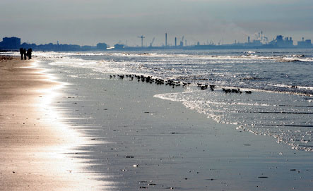 Camping Bray-Dunes - 3 - campings